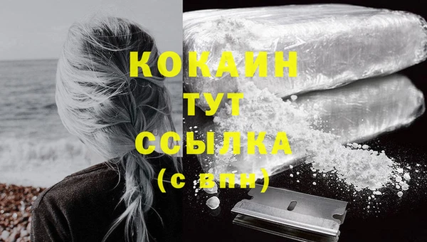 гашик Богданович
