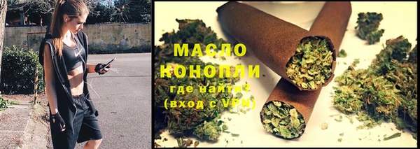 гашик Богданович