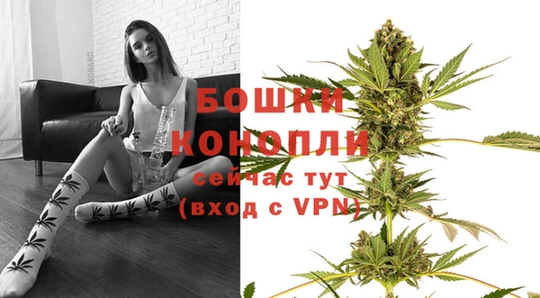 МДПВ Богородицк