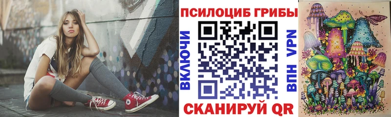 купить   Новокузнецк  Псилоцибиновые грибы прущие грибы 