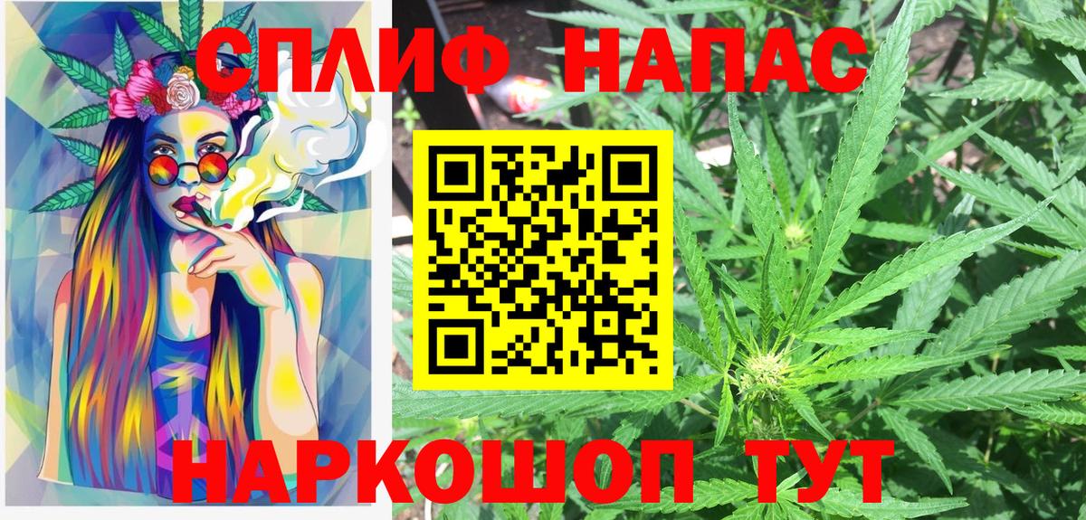 МАРИХУАНА семена Новокузнецк